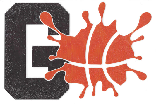 Go Splash Basketball