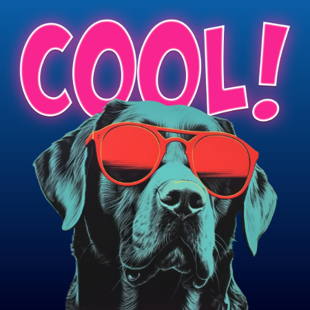 cool dog